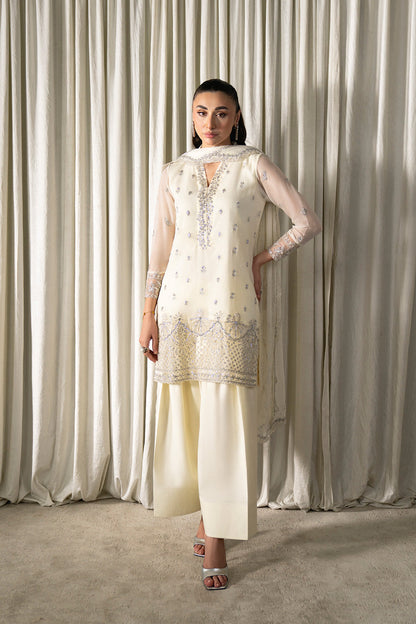Neeshay | Ready to Wear Chiffon | RTW-CHFN-06 White - Pakistani Designer Dress - by Neeshay - Type : Ladies Clothes - 100% Original at Saira Sultan
