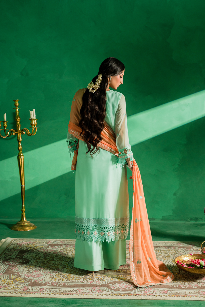 Zebtan | Farmaish Formals | FC-02 S Mint Green Chiffon