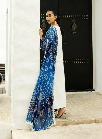 Zainab Chottani | Chikankari 25 | Reem - 8A S White Chikankari