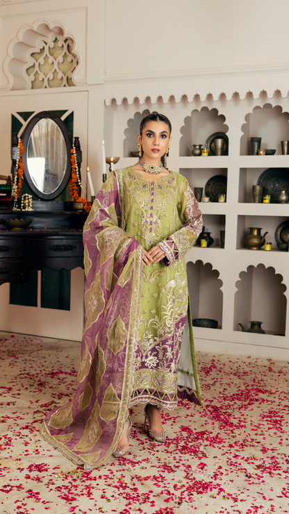 Zebtan | Zircon Wedding Formals | KHANZADI ZQ-02 XS Olive Organza