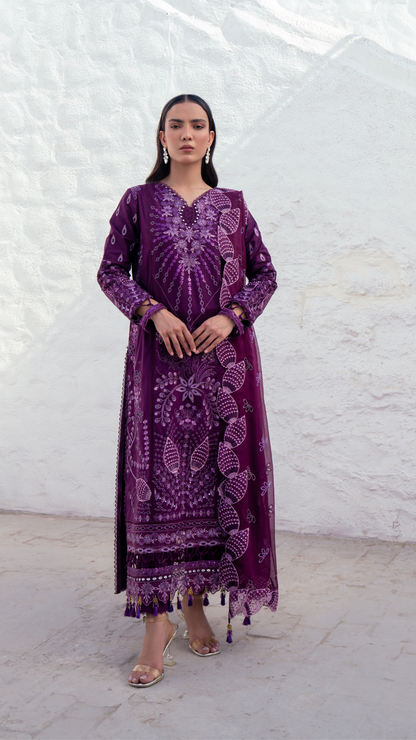 Zebtan | ZA-01 | Anaya Lawn