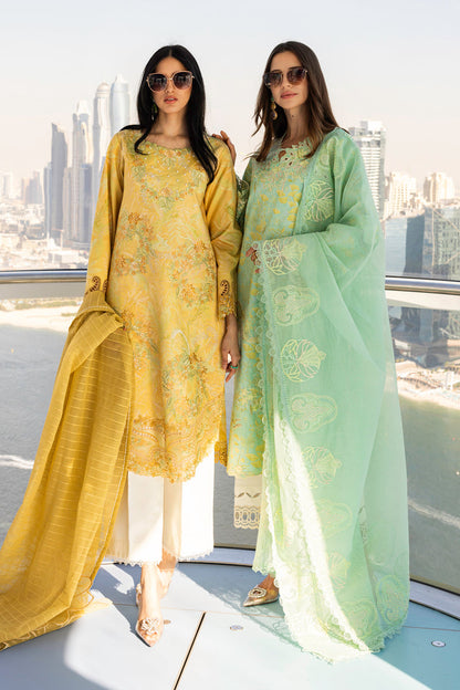 Rangrasiya | Carnation Summer Edit 25 | Bella XL Mint Lawn