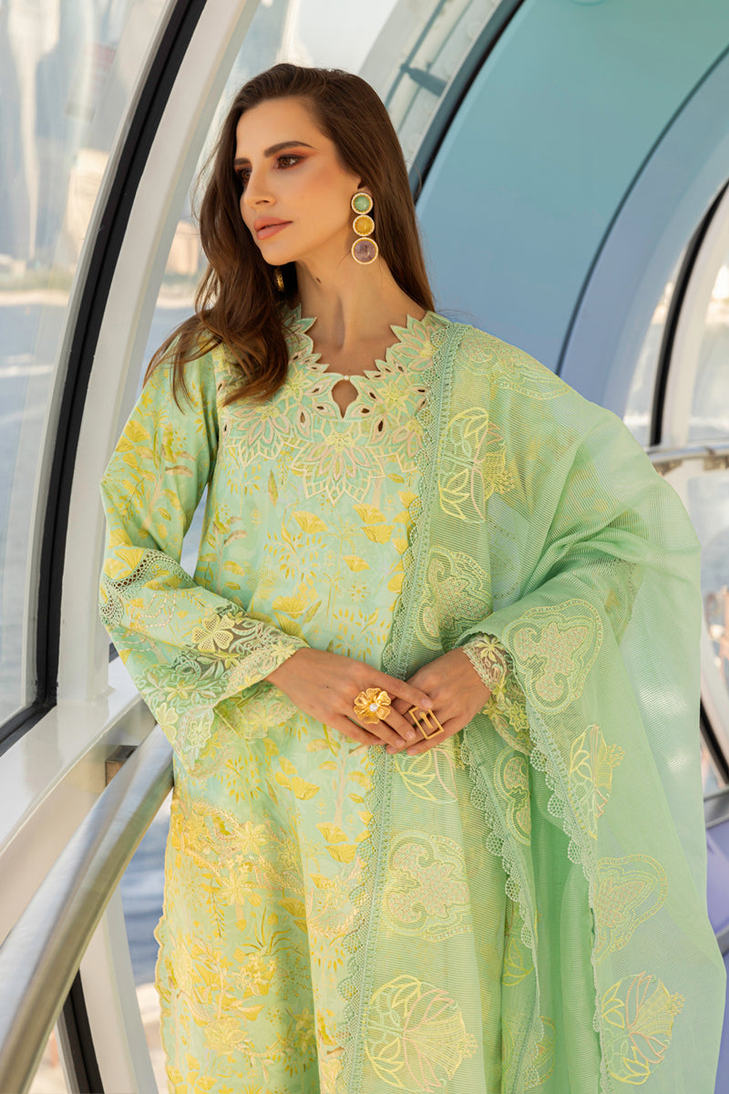 Rangrasiya | Carnation Summer Edit 25 | Bella L Mint Lawn