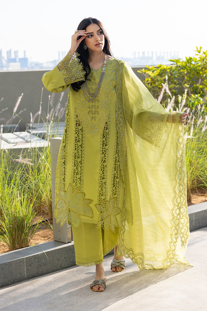 Rangrasiya | Carnation Summer Edit 25 | Aaleen L Lime Lawn