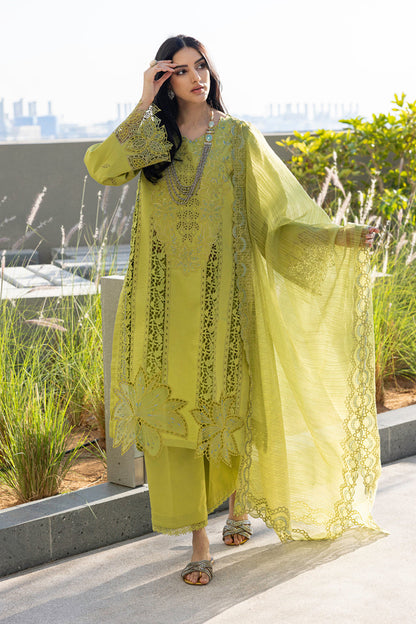Rangrasiya | Carnation Summer Edit 25 | Aaleen L Lime Lawn