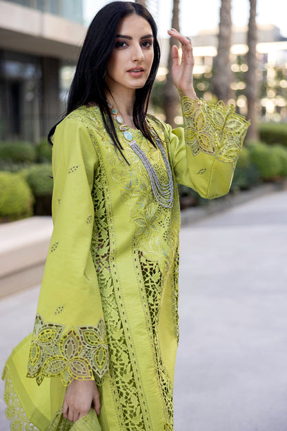 Rangrasiya | Carnation Summer Edit 25 | Aaleen M Lime Lawn