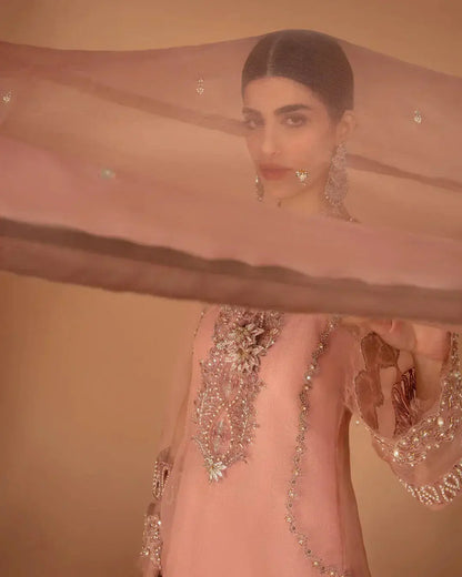 Faiza Saqlain | Aleira Evening Edit 24 | Auset - Pakistani Designer Dress - by Faiza Saqlain | Type: Formal - 100% Original at Saira Sultan