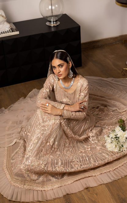 Threads and Motifs | Formal Dresses 25 | Embroidered Net Maxi
