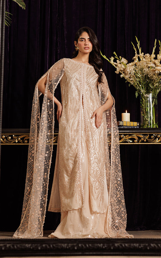 Threads and Motifs | Formal Dresses 25 | Net Embroidered Dress With Skirt - Pakistani Designer Dress - by Threads and Motifs - Type : Ladies Clothes - 100% Original at Saira Sultan
