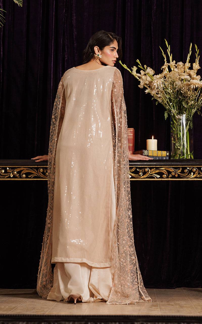 Threads and Motifs | Formal Dresses 25 | Net Embroidered Dress With Skirt
