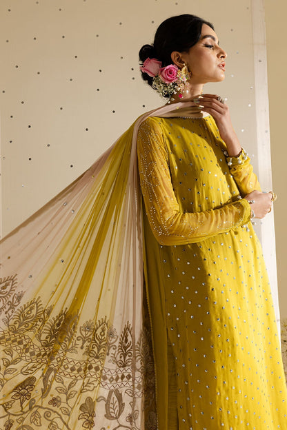 Nureh | Mukeshkari Formals | MK-08 XL Lime Yellow Chiffon