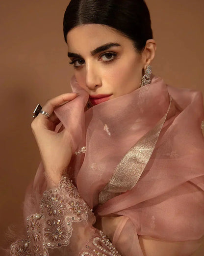 Faiza Saqlain | Aleira Evening Edit 24 | Auset - Pakistani Designer Dress - by Faiza Saqlain | Type: Formal - 100% Original at Saira Sultan