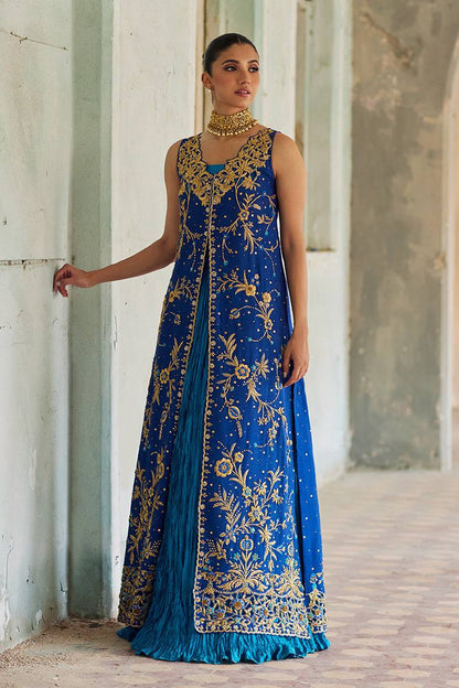 Mina Hassan | Formal Dholki Collection | Rooha - Pakistani Designer Dress - by Mina Hassan | Type: Ladies Clothes - 100% Original at Saira Sultan