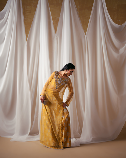 Vasal | Zyra Luxe Pret 26 | Golden Dusk - Pakistani Designer Dress - by Vasal - Type : Ladies Clothes - 100% Original at Saira Sultan