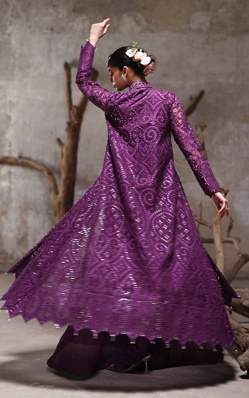 Threads and Motifs | Formal Dresses 25 | Organza Embroidered Jacket With Crushed Trouser