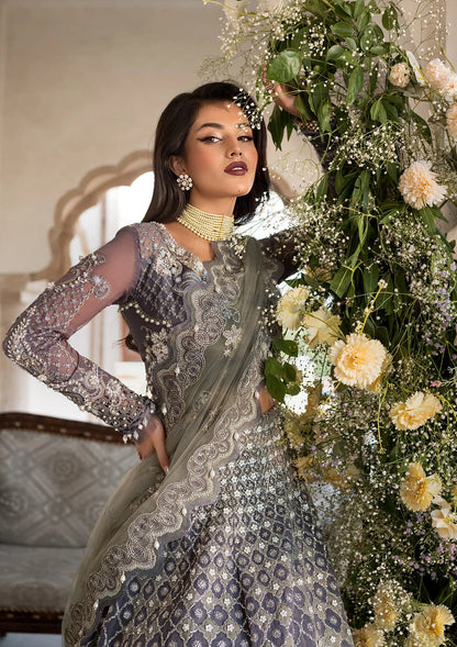 Elaf Premium | Formal Handwork Collection | EFH-02 NAZNEEN XL Gray Organza