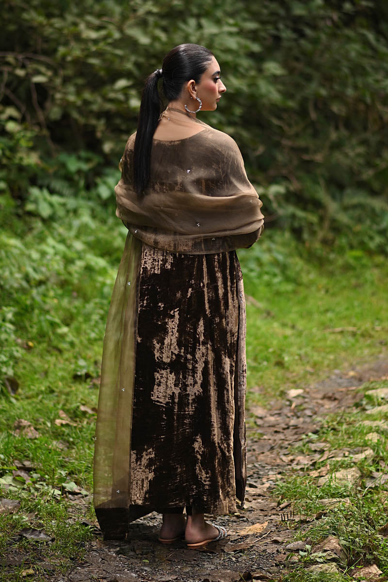 Hue Pret | Farasha Luxury Winter | Baran S Dull Brown Pure Velvet