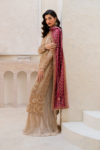 Iznik | Chinnon Chiffon | CC-44 Embroidered Chiffon - Pakistani Designer Dress - by Iznik | Type: Formal - 100% Original at Saira Sultan