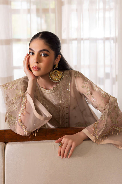 Naqshi | Pareezah Formals | Zumar XL Nude Pink Organza