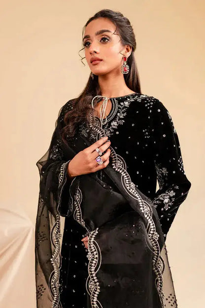Nureh | Shades of Winter | Sheesh - Pakistani Designer Dress - by Nureh | Type: Luxury - 100% Original at Saira Sultan
