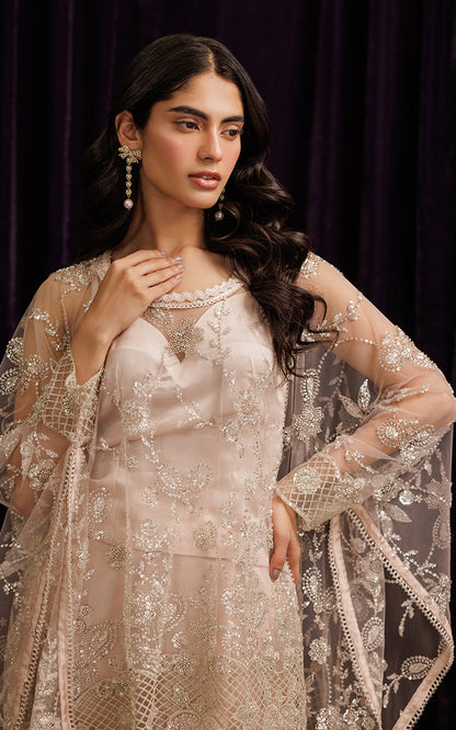 Threads and Motifs | Formal Dresses 25 | Net Embroidered Cape With Tube And Skirt