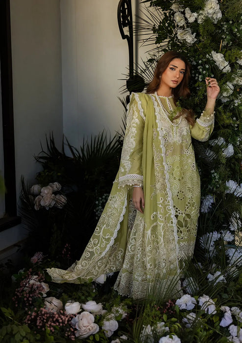 Kahf Premium | Luxury Lawn 25 | KLR-08 Amelia Custom Size Apple Green Lawn