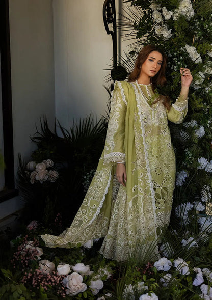 Kahf Premium | Luxury Lawn 25 | KLR-08 Amelia Custom Size Apple Green Lawn
