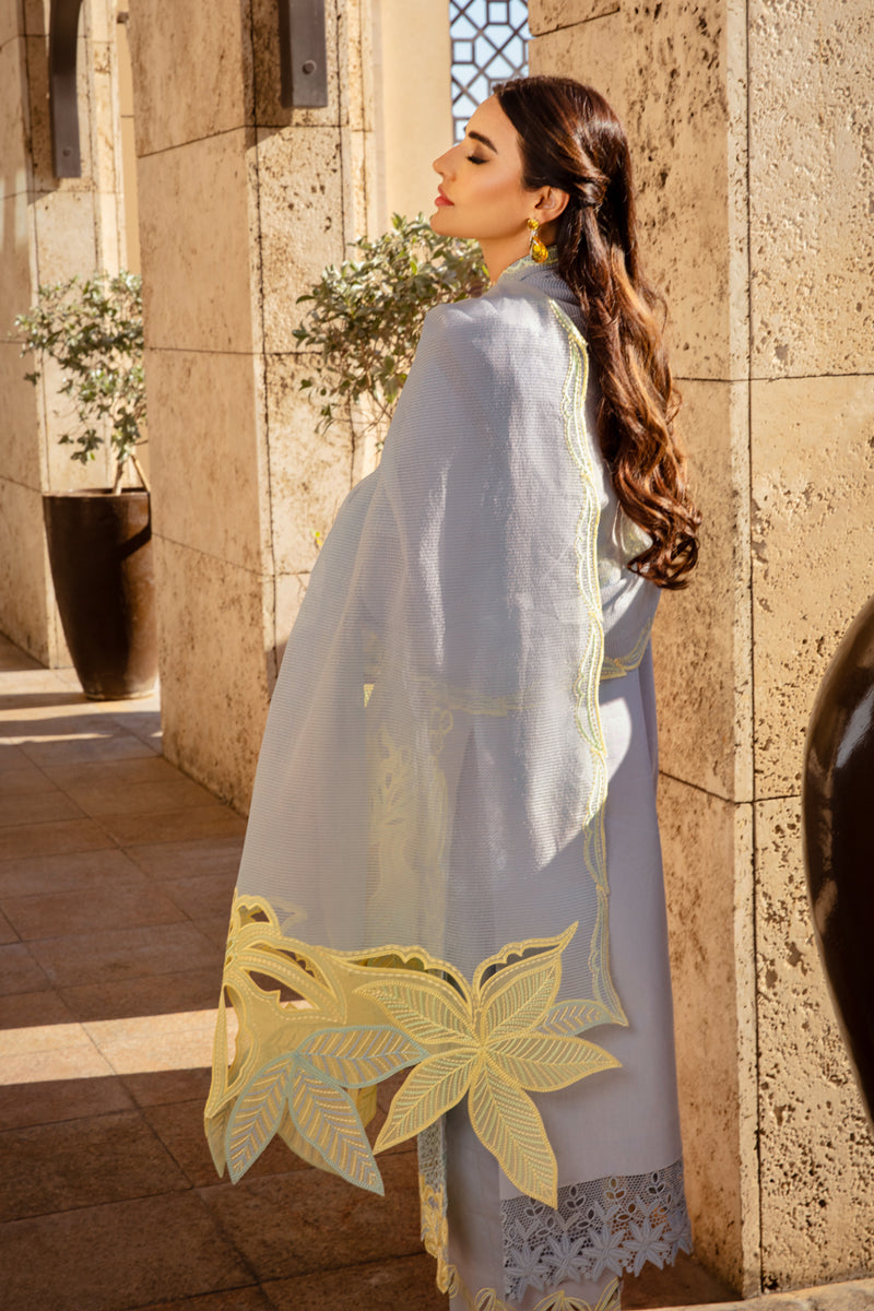 Rangrasiya | Premium Summer Lawn 25 | Elnaz Custom Size Gray Lawn
