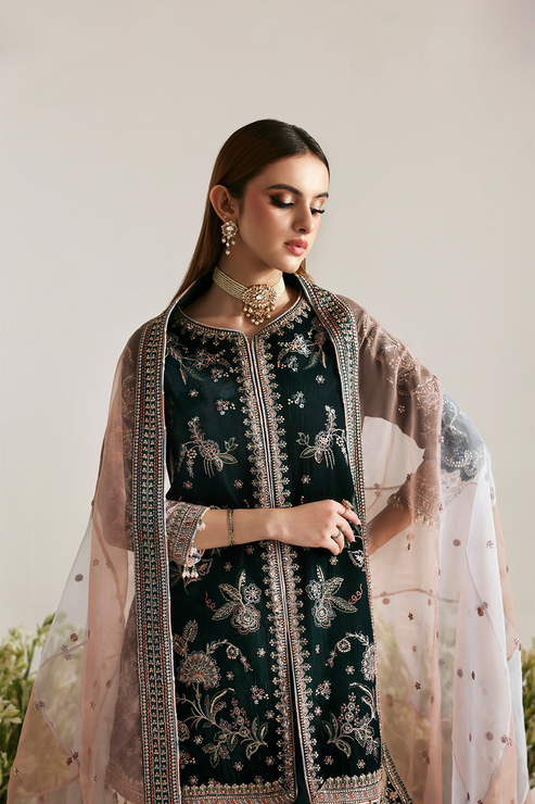 Emaan Adeel | Zarposh Velvet 25 | MEHRUUNISA - Pakistani Designer Dress - by Emaan Adeel - Type : Ladies Clothes - 100% Original at Saira Sultan