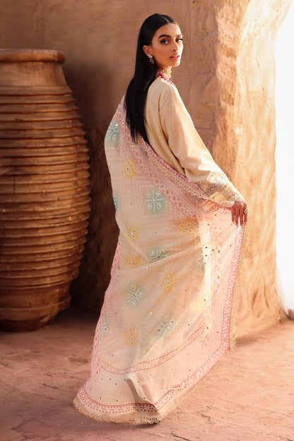 Nureh | Bazaar Lawn | NE-159 S Beige Lawn