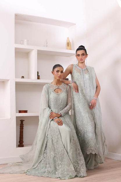 Noor by Saadia Asad | Noor Chiffon De Luxe | D8 - Pakistani Designer Dress - by Noor by Saadia Asad | Type: Formal - 100% Original at Saira Sultan