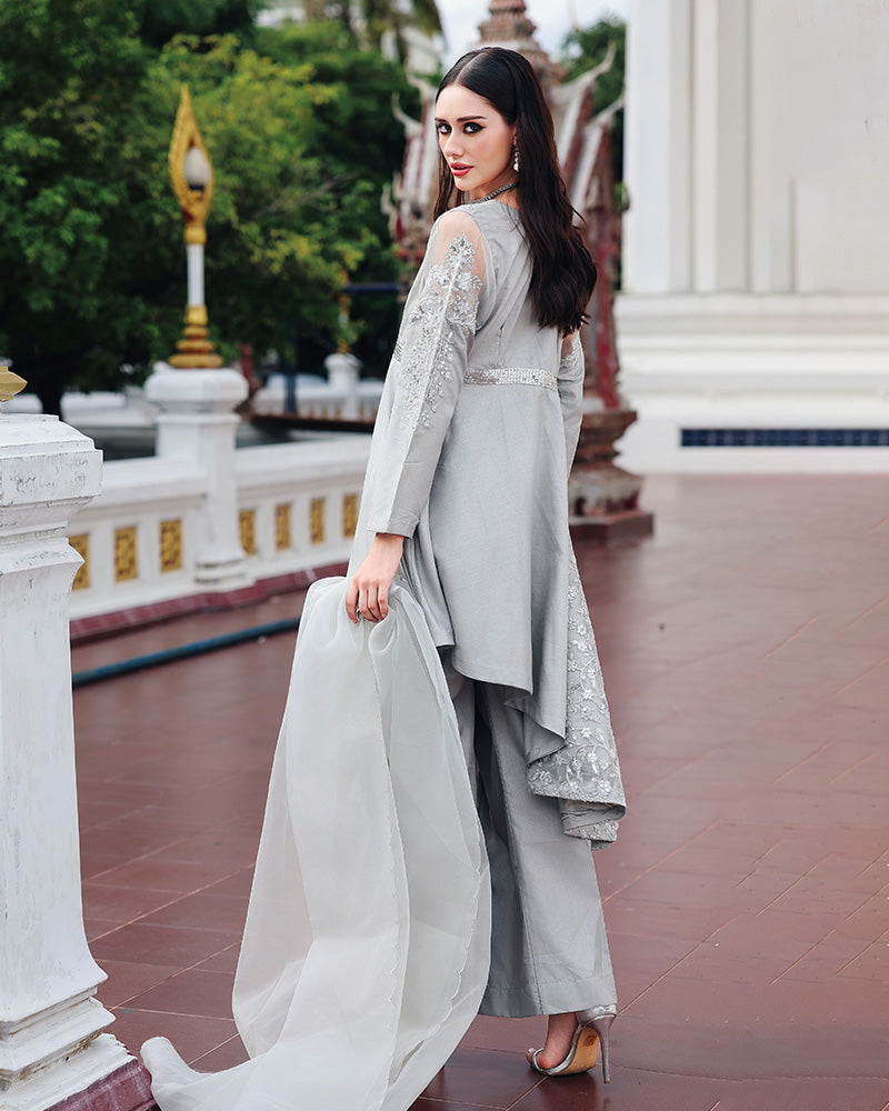 Ain | Prestige Festive Edit | AN-146 C AN-146 C - Pakistani Designer Dress - by Ain - Type : Ladies Clothes - 100% Original at Saira Sultan