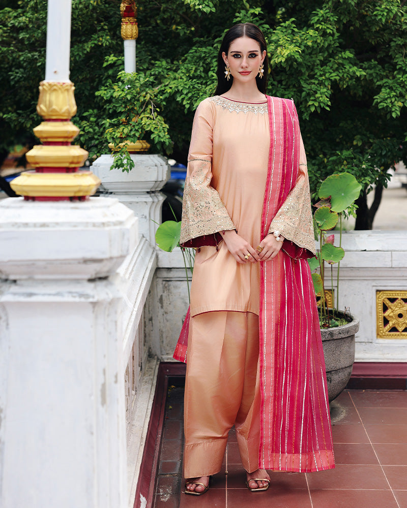 Ain | Prestige Festive Edit | AN-140 D - Pakistani Designer Dress - by Ain - Type : Ladies Clothes - 100% Original at Saira Sultan