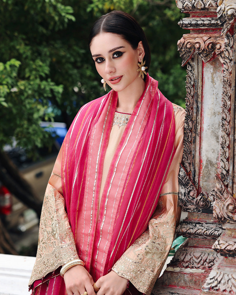 Ain | Prestige Festive Edit | AN-140 D - Pakistani Designer Dress - by Ain - Type : Ladies Clothes - 100% Original at Saira Sultan