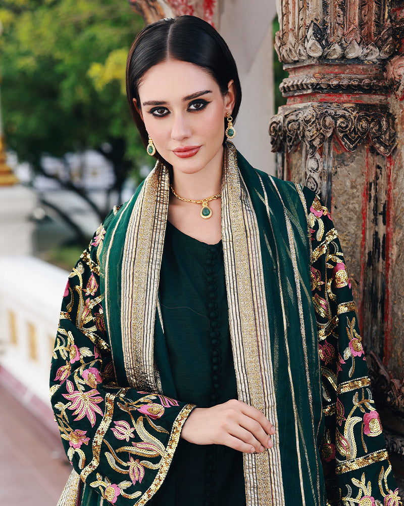Ain | Prestige Festive Edit | AN-143 B - Pakistani Designer Dress - by Ain - Type : Ladies Clothes - 100% Original at Saira Sultan