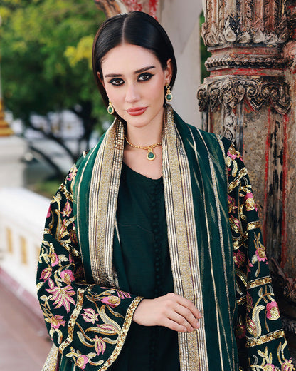 Ain | Prestige Festive Edit | AN-143 B - Pakistani Designer Dress - by Ain - Type : Ladies Clothes - 100% Original at Saira Sultan