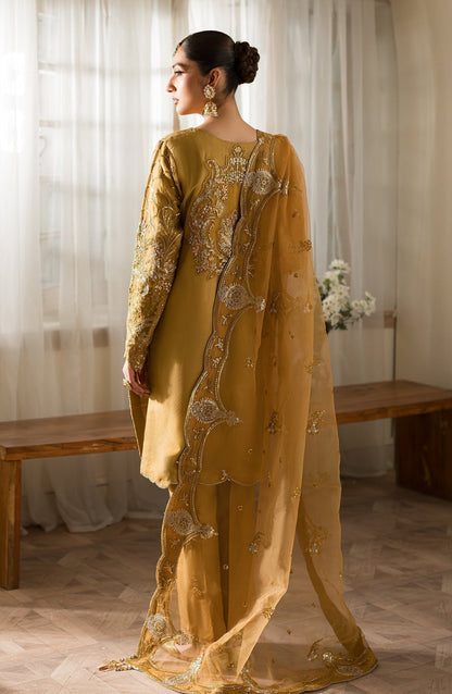 Emaan Adeel | Suave Luxury Formals 24 | ZOE - Pakistani Designer Dress - by Emaan Adeel | Type: Formal - 100% Original at Saira Sultan