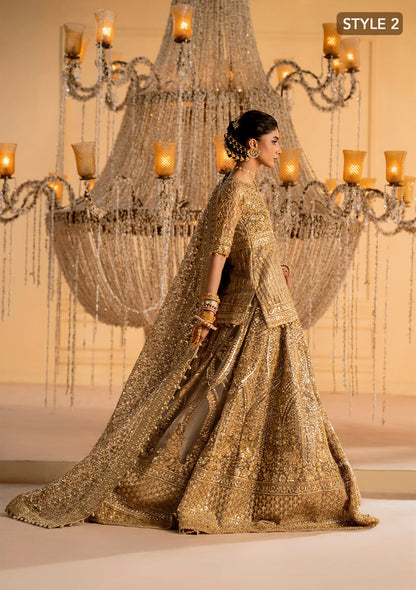 Aik Atelier | Wedding Festive 25 | LOOK 05 XL Net KALIDAR WITH CRUSHED SKIRT