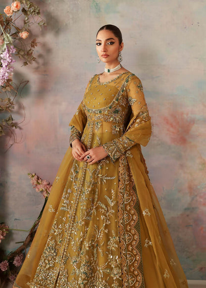 Akbar Aslam | Deewani Wedding Formals | Sierra M Old Gold Organza