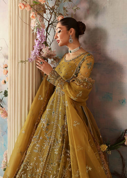 Akbar Aslam | Deewani Wedding Formals | Sierra L Old Gold Organza