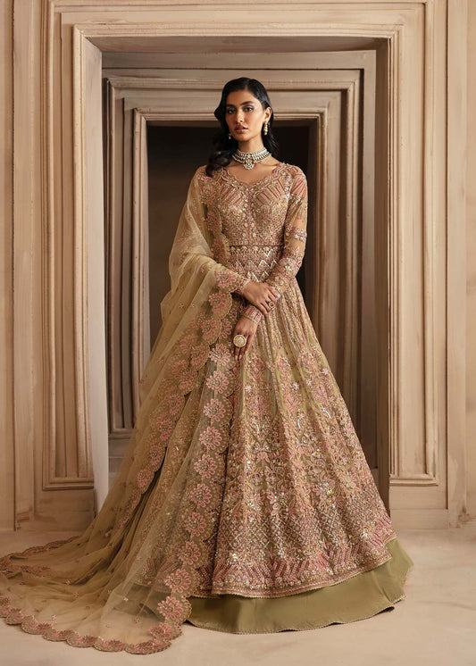 Akbar Aslam | Deewani Wedding Formals | Vespera XS Dark Beige Net