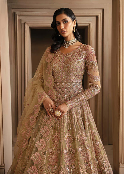 Akbar Aslam | Deewani Wedding Formals | Vespera M Dark Beige Net