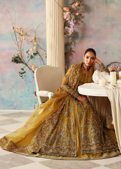 Akbar Aslam | Deewani Wedding Formals | Sierra XL Old Gold Organza