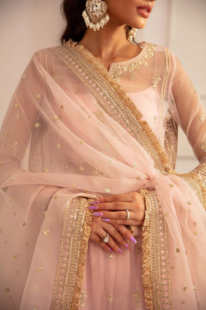 Akbar Aslam | Velora Formal Pret | Rosette L Pink Organza
