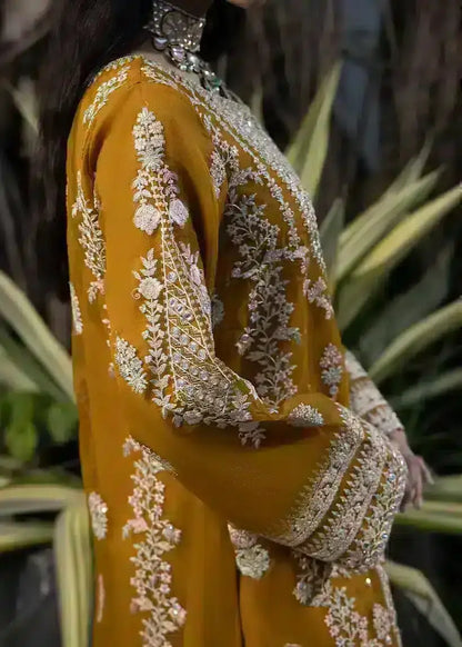 Ali Xesshan | Bhaag Lagay Rain | AMBER  LP-015 - Pakistani Designer Dress - by Ali Xeeshan | Type: Formal - 100% Original at Saira Sultan