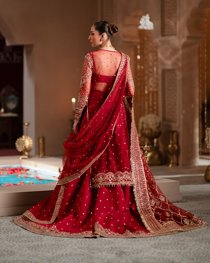 Zevk | Mughal Raniya | Mughal Mah Rani XS Red Organza