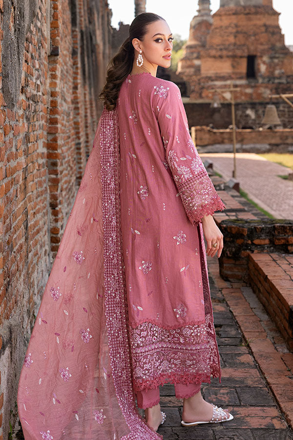 Saffron | Solace Winter Edit | Froza S Blush Pink Khaddar