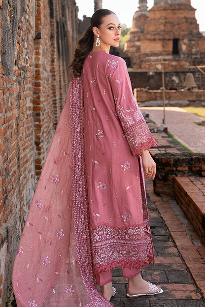 Saffron | Solace Winter Edit | Froza S Blush Pink Khaddar