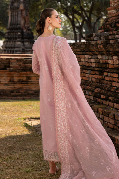 Saffron | Solace Winter Edit | Daphne S Baby Pink Khaddar