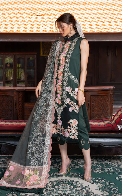 Asifa and Nabeel | Rosemary Ruffles 24 | Charisma - Pakistani Designer Dress - by Asifa and Nabeel | Type: Luxury - 100% Original at Saira Sultan